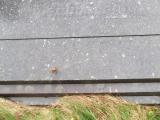 image of grave number 630056